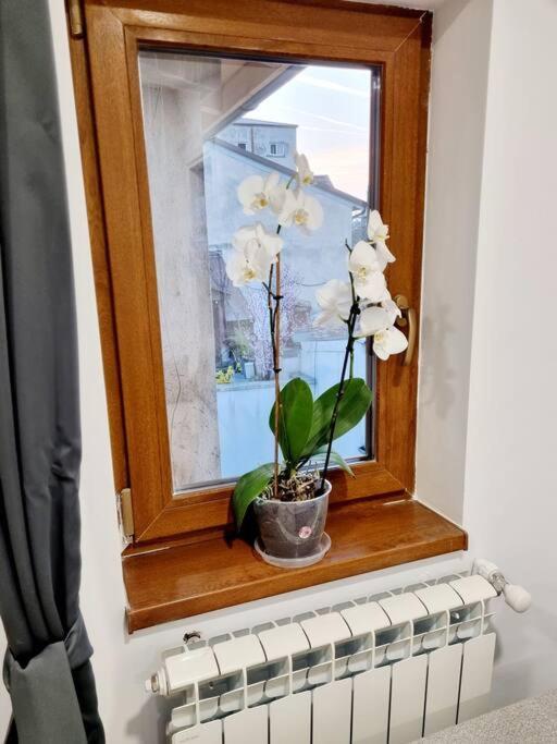 Appartamento Cozy Near Center